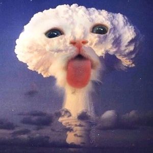 Meet your Posher, Hilary